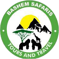 Bashem Safaris 