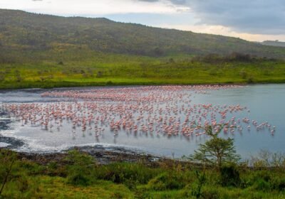 3 Days Arusha National Park