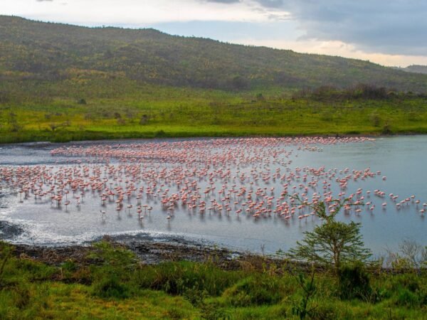 3 Days Arusha National Park