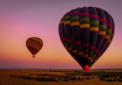 Are Safari Experiences Different in Each East African Country?