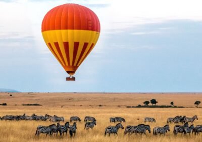 4 Days Akagera Balloon Safari