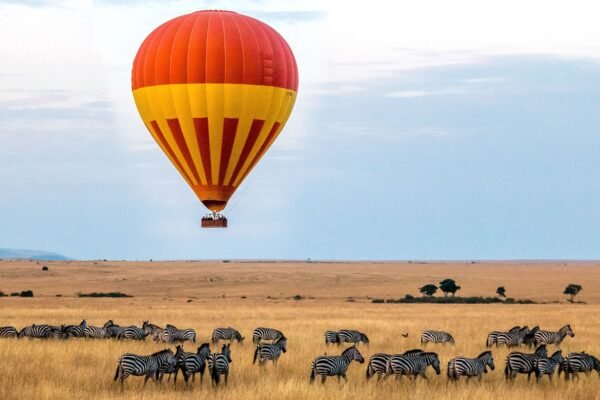 4 Days Akagera Balloon Safari