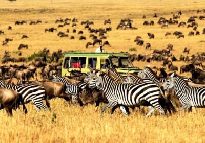 5 Days Serengeti National Park