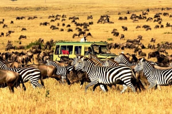 5 Days Serengeti National Park
