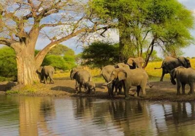 3 Days Tarangire National Park