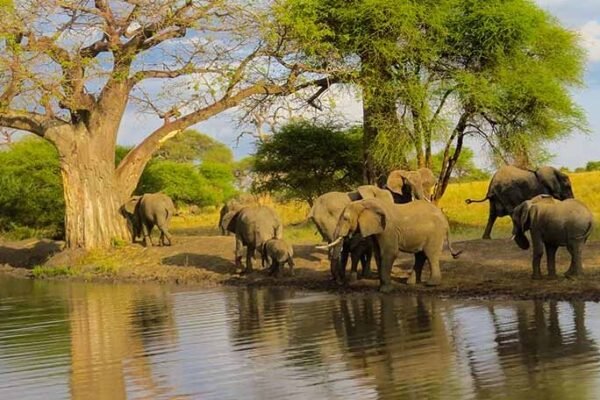 3 Days Tarangire National Park