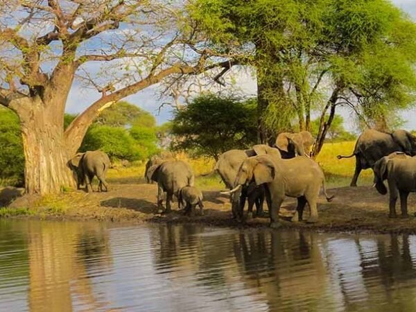 3 Days Tarangire National Park