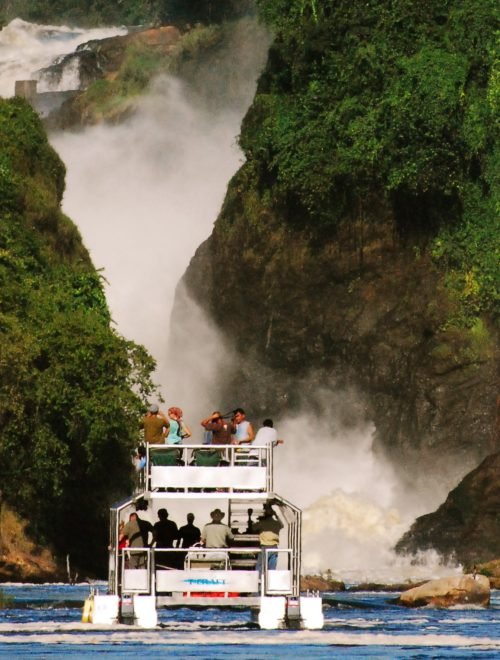 2 Days Murchison Falls Fly-In Safari