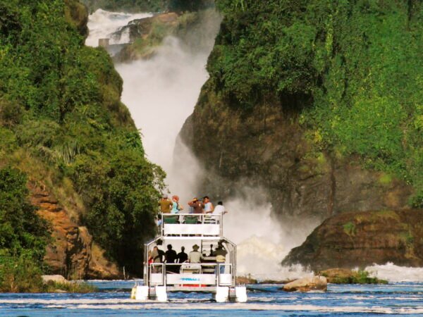 2 Days Murchison Falls Fly-In Safari