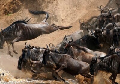 2 Days Magical Kenya Safari