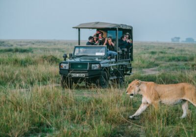 African Safari From Canada: Everything You Need to Know Before You Travel