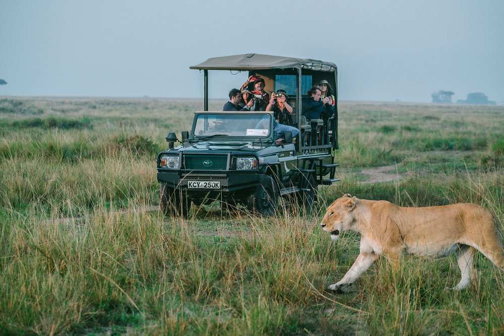 African Safari From Canada: Everything You Need to Know Before You Travel