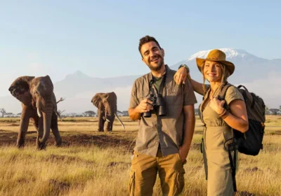 Custom Safari Packages in East Africa: How to Design Your Perfect African Adventure