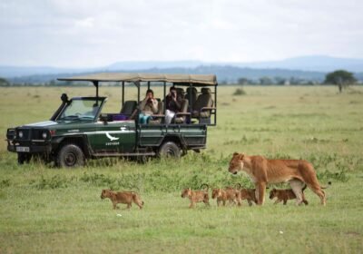 Why Book a Private Safari Instead of Group Tours in East Africa?