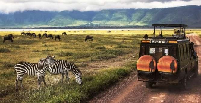 Why Book a Private Safari Instead of Group Tours in East Africa?
