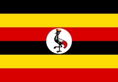 7 Reasons to Choose Uganda for Your Next Safari