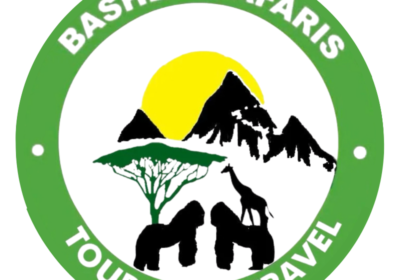 Are Safari Packages Better Than Booking Yourself? What Most Travelers Get Wrong