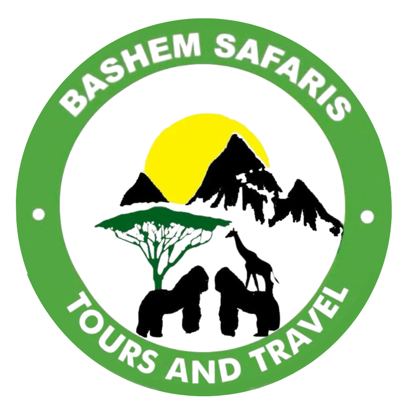 Bashem Safaris