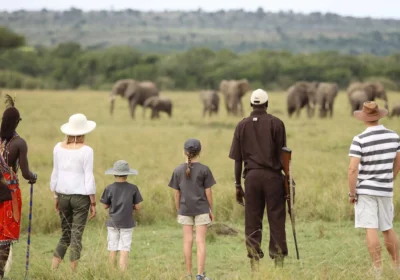 Ultimate Family Safari