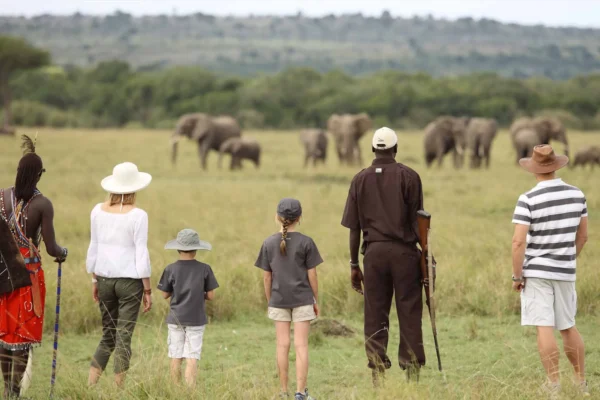 Ultimate Family Safari
