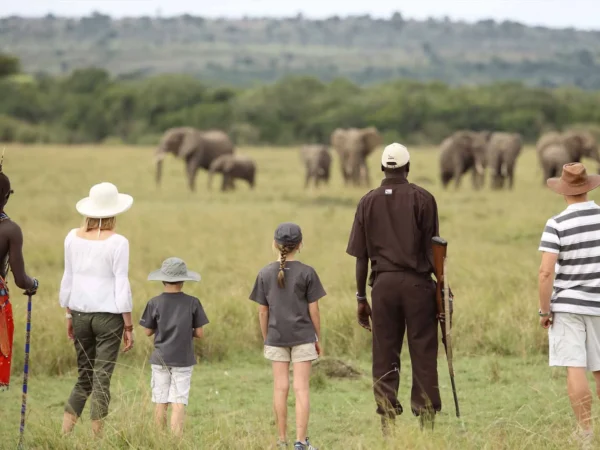 Ultimate Family Safari