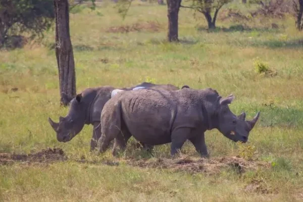 Conservation & Research Expedition