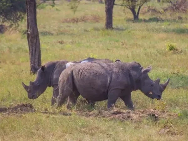 Conservation & Research Expedition