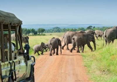 10 Experiences You Can Only Have in East Africa