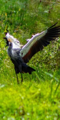 IMG_7032-1-min-min-scaled