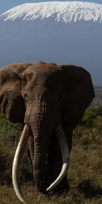 WhatsApp-Image-2025-04-06-at-01.08.36-1